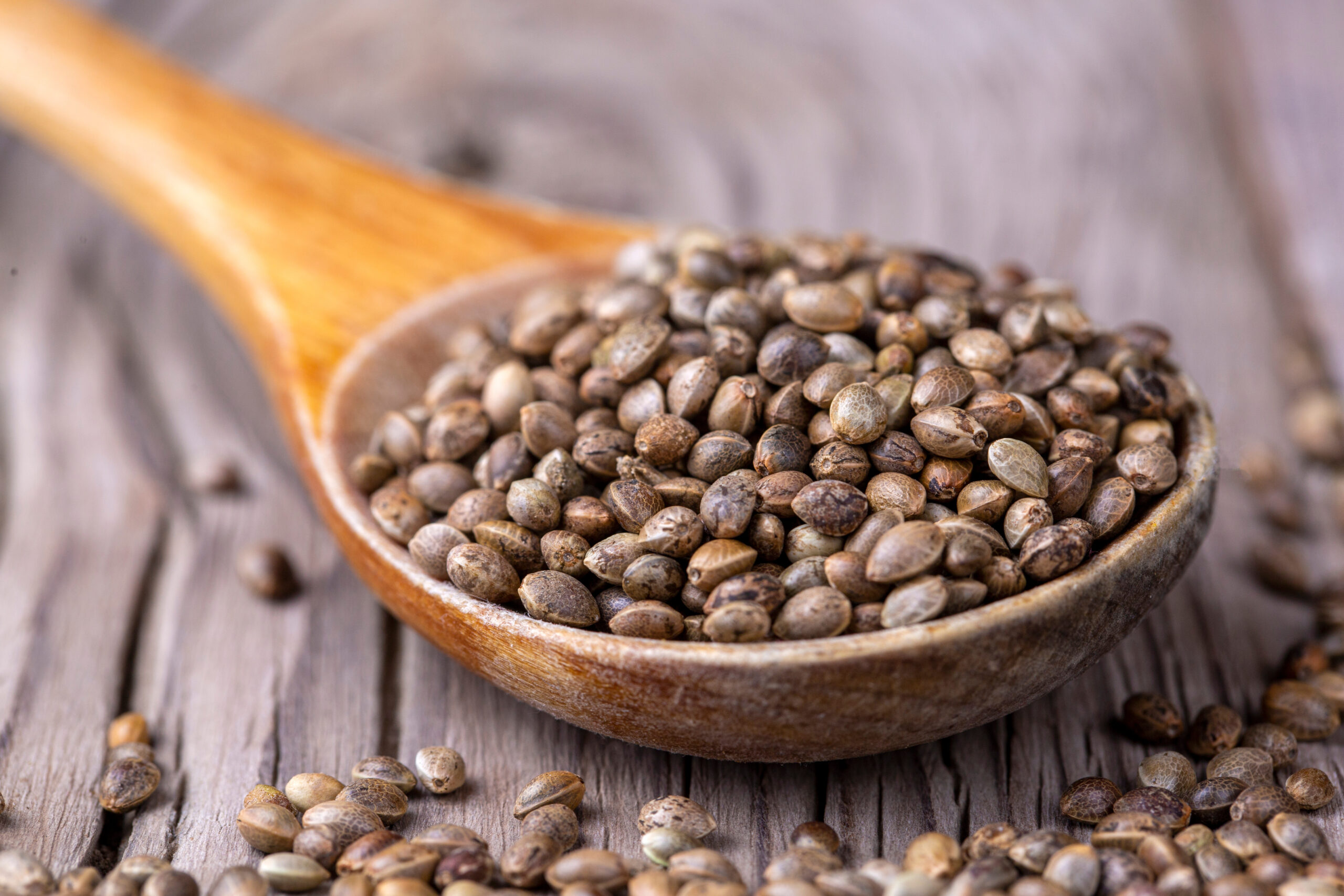 Dried hemp seeds